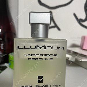 일루미넘 트라이벌 블랙티 100ml 단종 실론티 향수