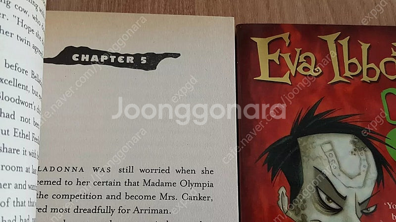 Eva Ibbotson 3권/which witch/잠수...--1