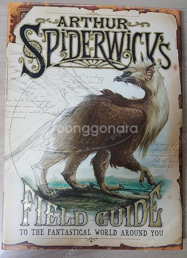 Arthur Spiderwick's Field Guid...--0
