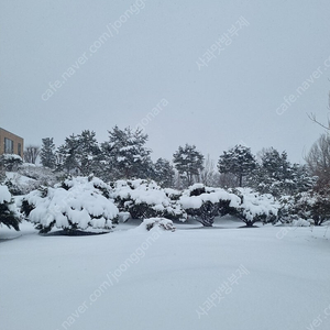 산천어축제 성인2티켓 삽니다(2월1일)