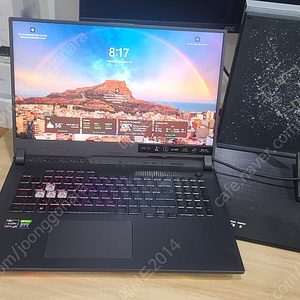 ASUS ROG STRIX G17 G713RM-LL121 24GB램 (SSD 1TB)