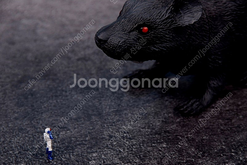 스페이스간담브이 SD버전 + 쥐빌런 _ 오늘만 특가!!--2