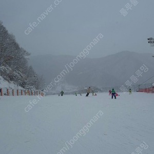 지산 리프트50프로할인권