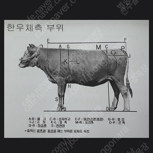 한우정액판매합니다(KPN1416,1640)