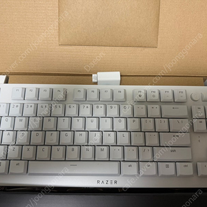 레이저 데스스토커 v2 tkl