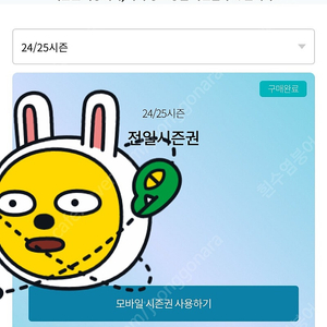 24/25 곤지암 시즌권 전일권 양도합니다