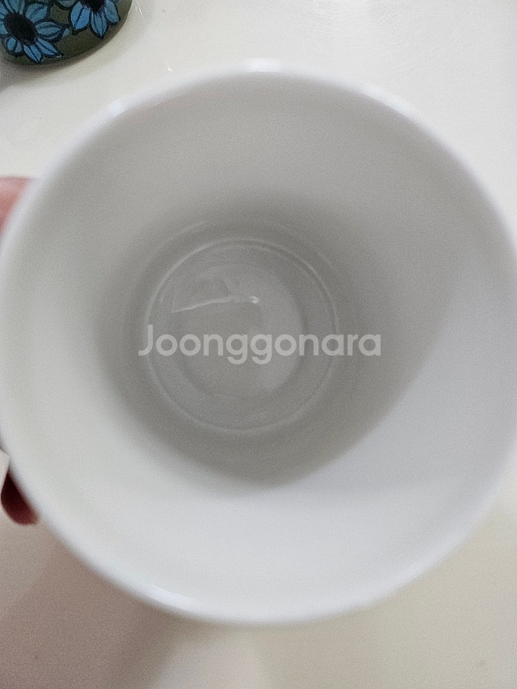 아라비아핀란드 발라디 머그컵--2