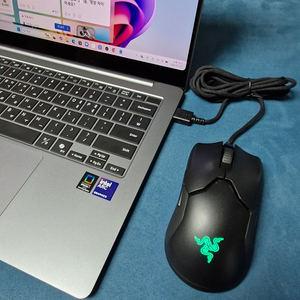 Razer Viper 8KHz 바이퍼 8k