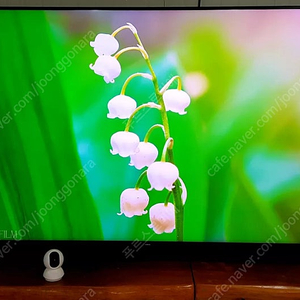 삼성전자 82인치 PREMIUM 4K UHD QLED Quantum Dots 퀀텀 HDR 퀀텀 프로세서 기술 대형 스마트 TV