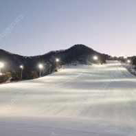 지산 시즌권 양도판매