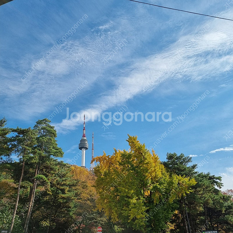 맥도날드 불고기버거세트--0