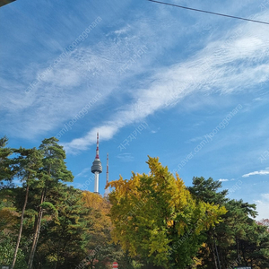 맥도날드 불고기버거세트