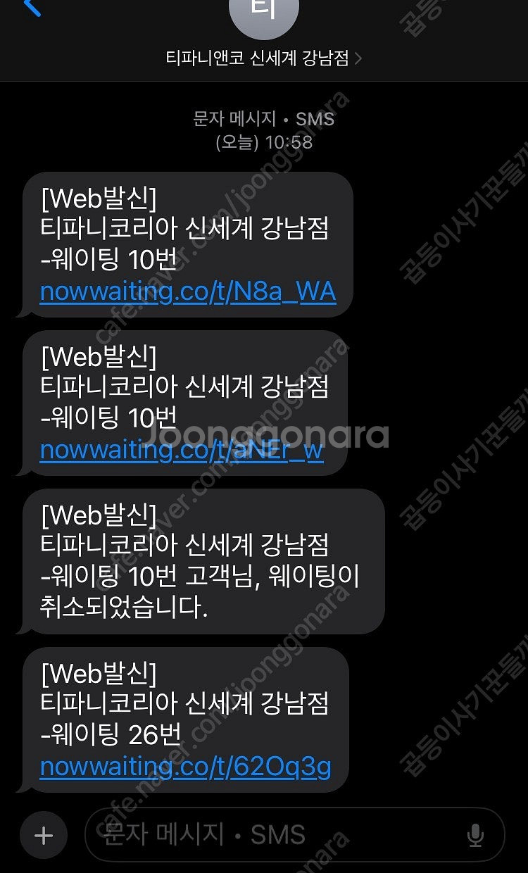 티파니앤코 다이아 더블하트 민트 목걸이--3