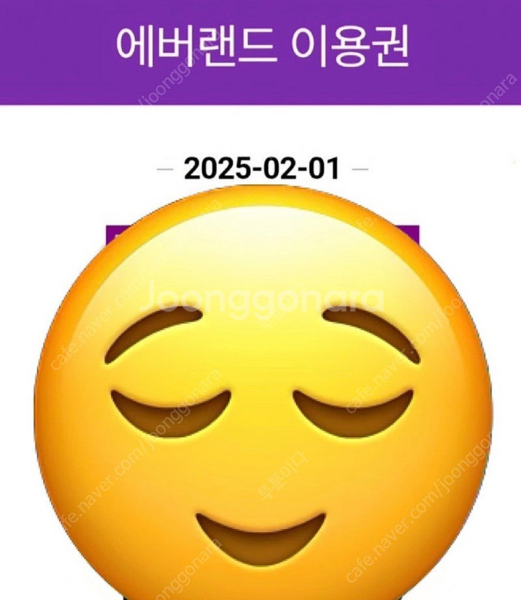 2/1 에버랜드 날짜지정 티켓 (내일)--1
