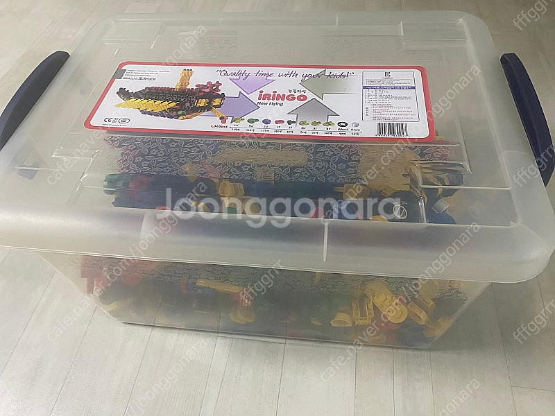 아이링고 뉴플라잉--0