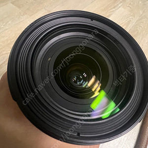 [부산] Ef24-70 F4L IS 형아계륵