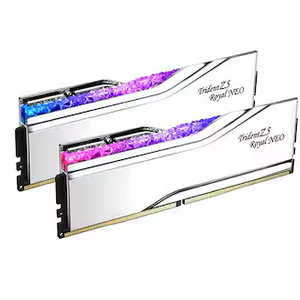 G.SKILL DDR5-6000 CL28 TRIDENT Z5 ROYAL NEO 실버 (32GB(16Gx2))