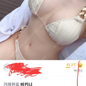 비키니