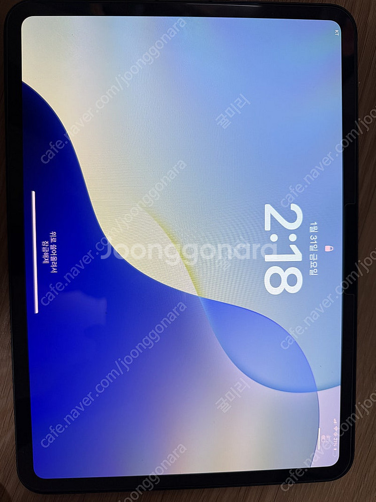 아이패드 프로 m4 11 256 + 셀룰러--0