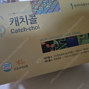 캐치콜