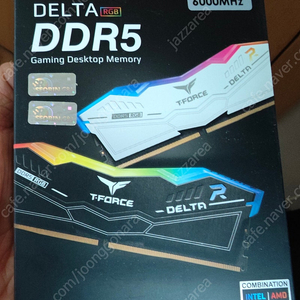 TeamGroup T-Force DDR5-6000 CL38 DELTA RGB 화이트 서린 32GB (16Gx2)