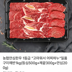 농협안심한우 1등급 일품구이채반1kg(등심500g+채끝300g+안심200g) 모바일 기프티콘