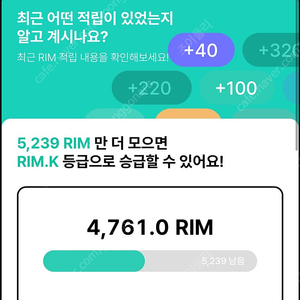 아난티 림 rim 판매 1700