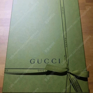 GUCCI GG 마몽 레더파우치