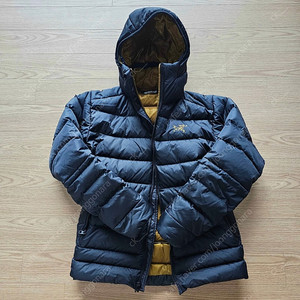 arcteryx thorium ar hoody 24k(s)