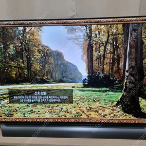 LG OLED 55인치 (55C8CNA)팝니다.