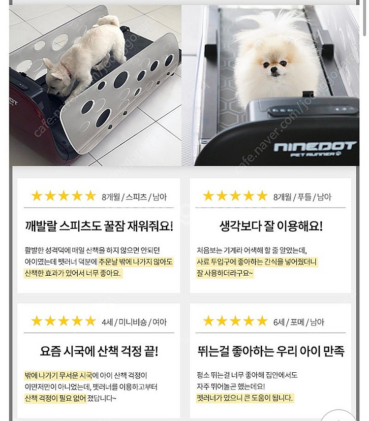 나인닷 강아지 런닝머신--3