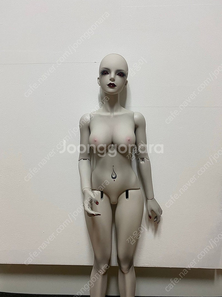 이플하우스 한정판 로즈그레이스킨 고양이 루나 팝니다--2