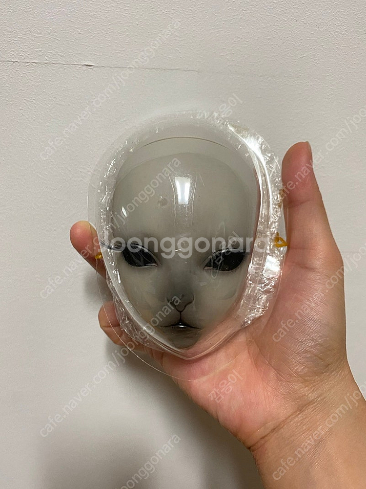 이플하우스 한정판 로즈그레이스킨 고양이 루나 팝니다--3
