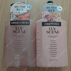 (플라워마켓 화이트튤립 향) 럽센트 스크럽 워시 500ml, 럽센트 바디워시 500ml