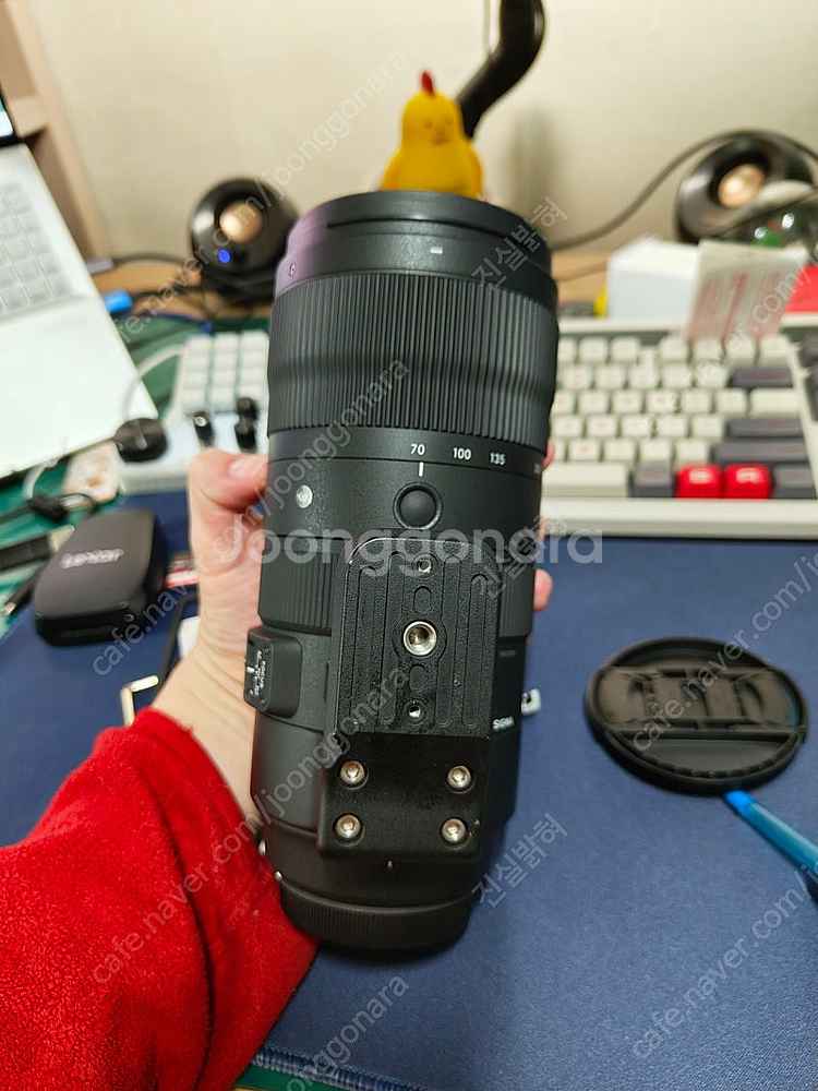 시그마 sigma 70-200 mm sports 식포츠--8