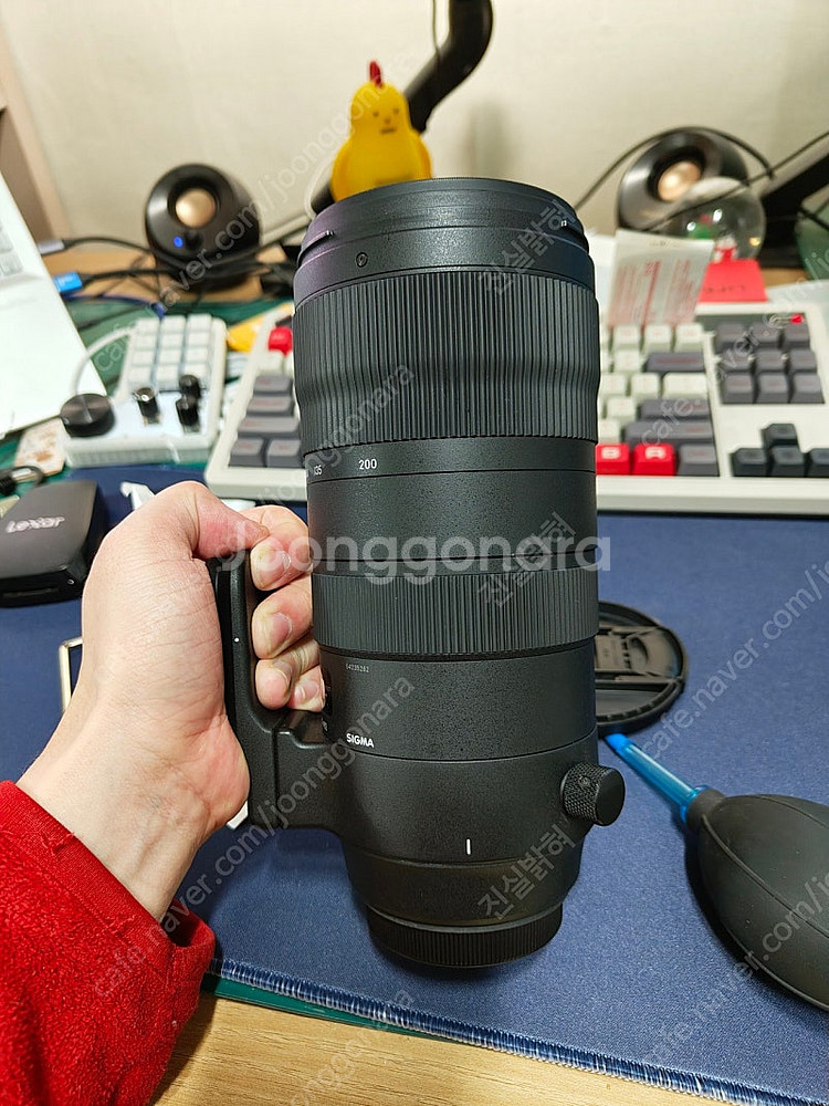 시그마 sigma 70-200 mm sports 식포츠--9