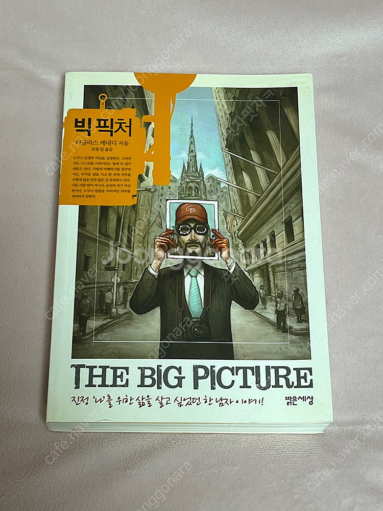 빅 픽처(소설)--0