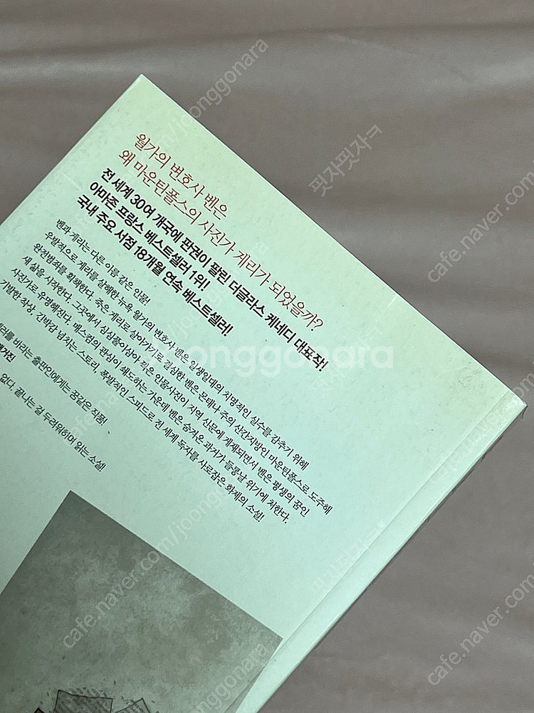 빅 픽처(소설)--3
