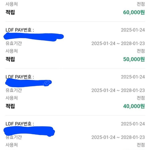 Ldf페이 전점27만원 시내점12만원 일괄판매