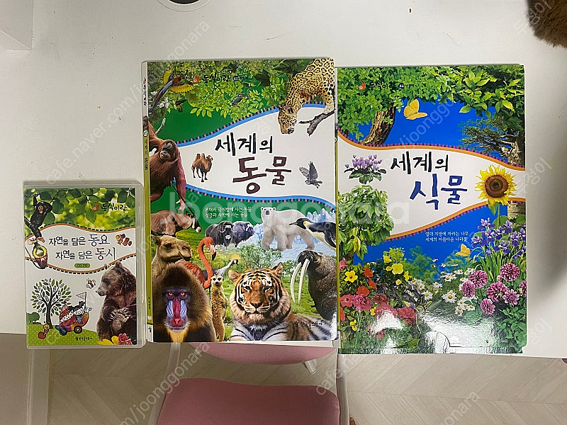 자연관찰 동식이랑--2