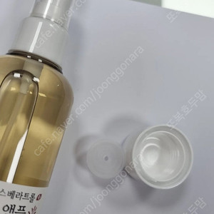 시드물 호장근앰플