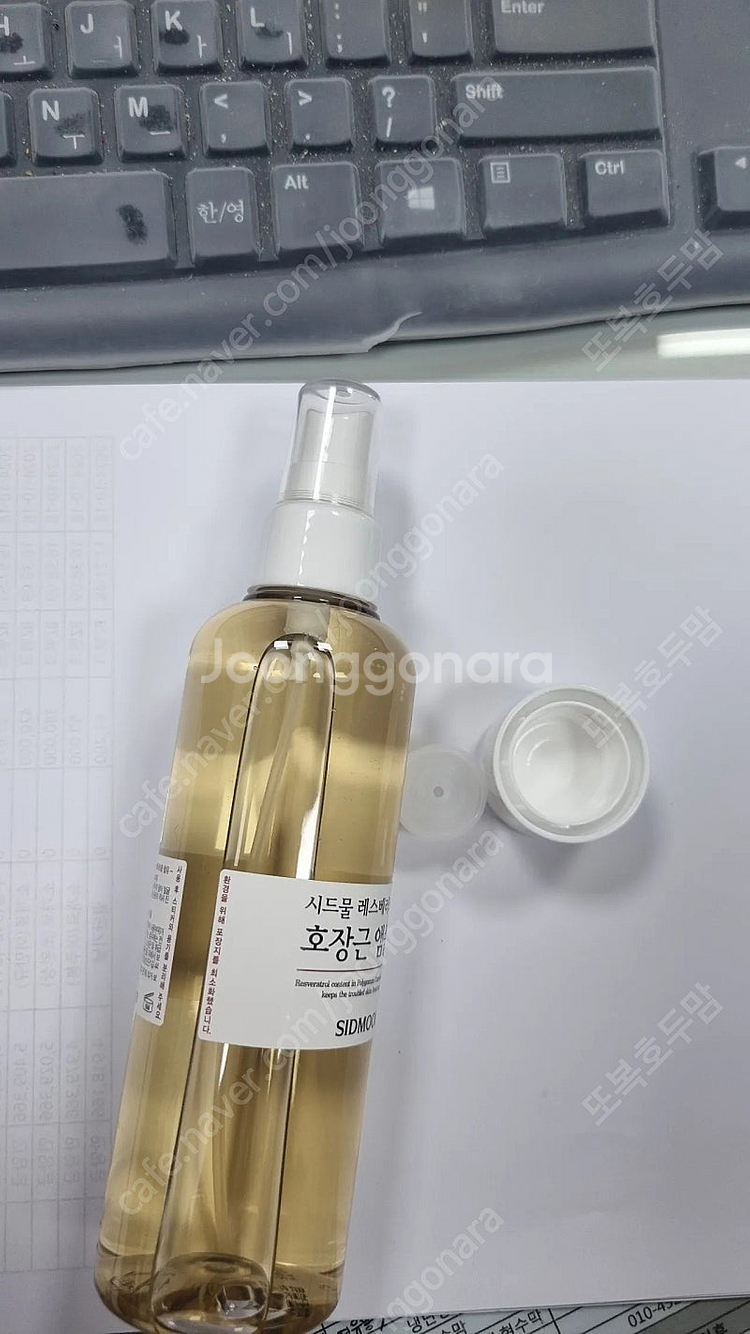 시드물 호장근앰플--1