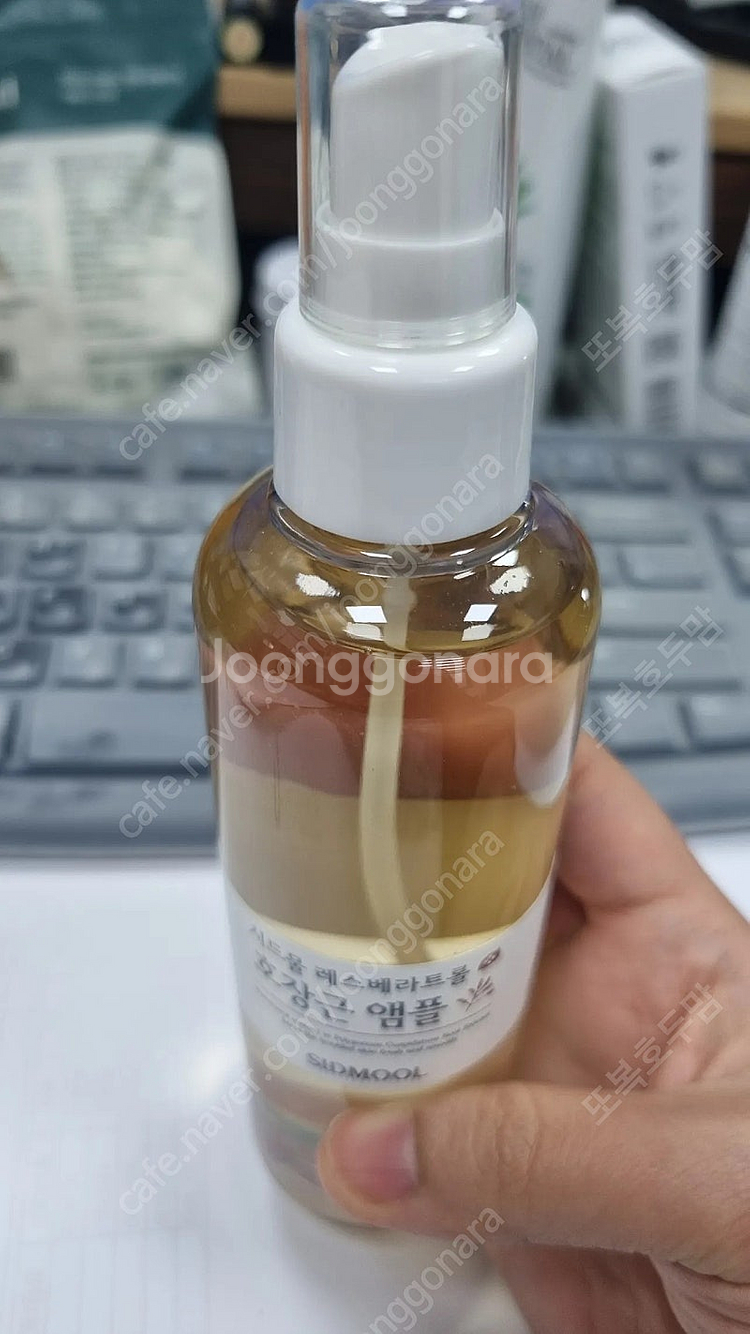 시드물 호장근앰플--4