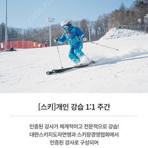 휘닉스파크 프리미엄키즈 강습권 (주중, 종일)