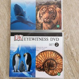 DK eyewitness dvd 1집 2집