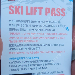 비발디파크 5시간권 판매합니다