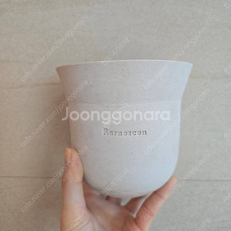 카네즈센 토분--1