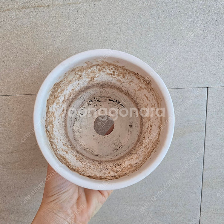 카네즈센 토분--3
