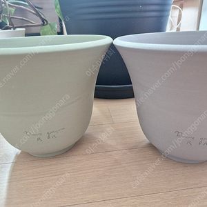 (화분, 토분) 두갸르송 그린벨 24, 그레이벨 24 / 미사용팟
