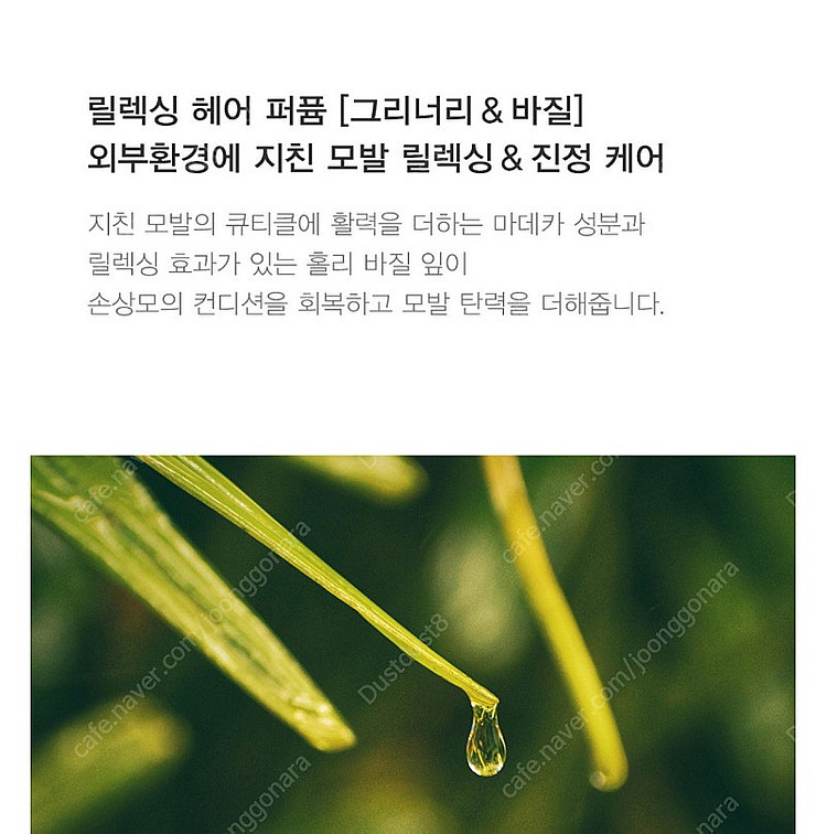 딥퍼랑스 퍼퓸 헤어 미스트 그리너리 앤 바질 30ml--1